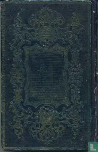 De twaelfjarige Robinson