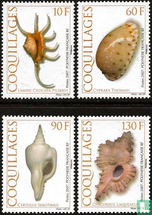 Coquilles