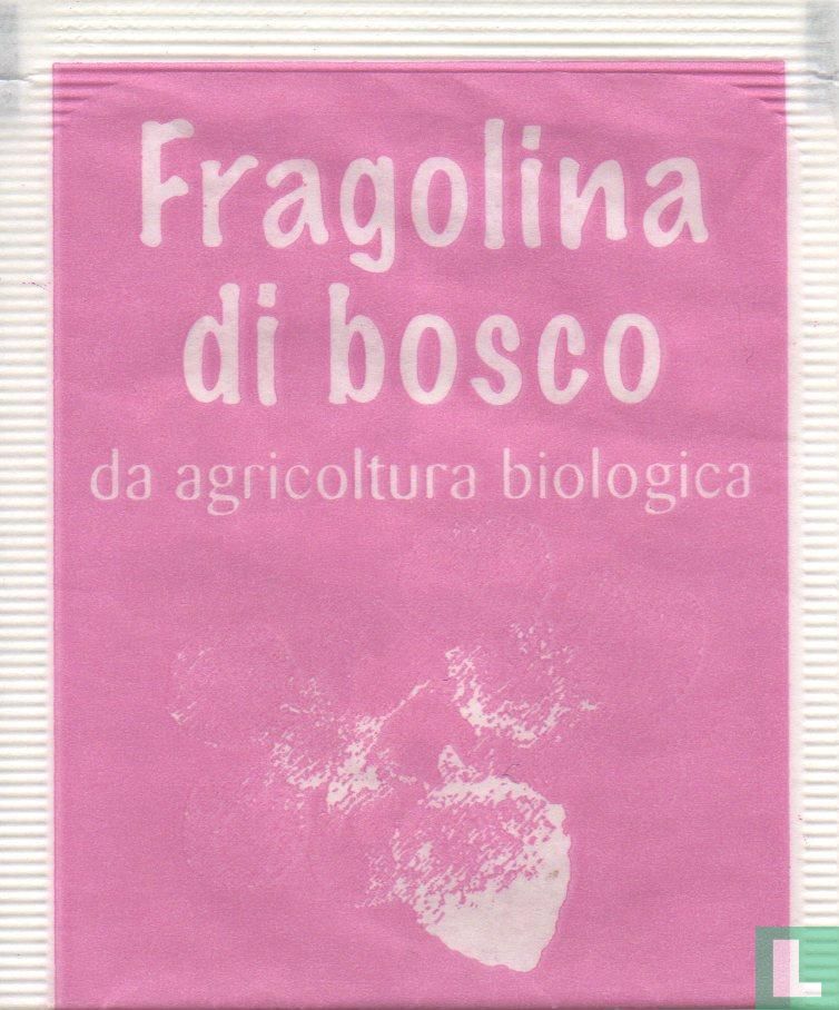 Fragolina di bosco
