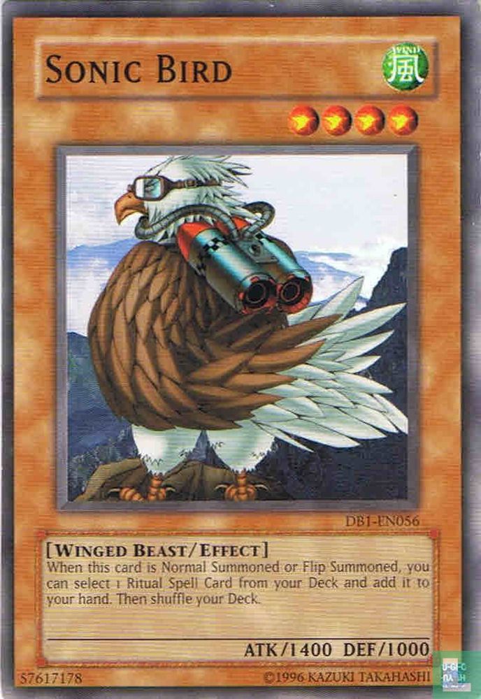 Sonic Bird