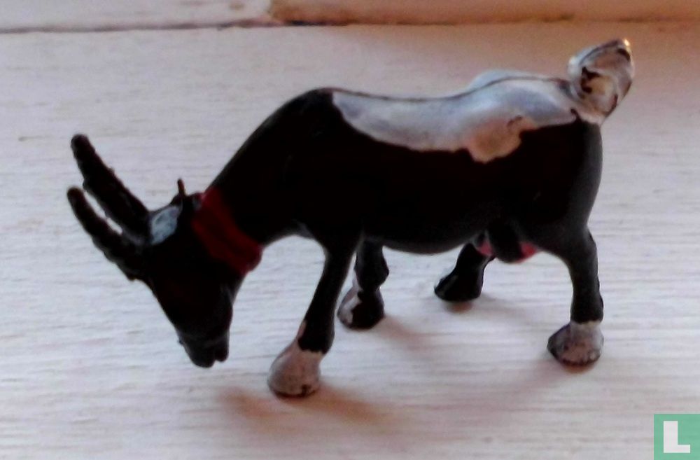 Bok