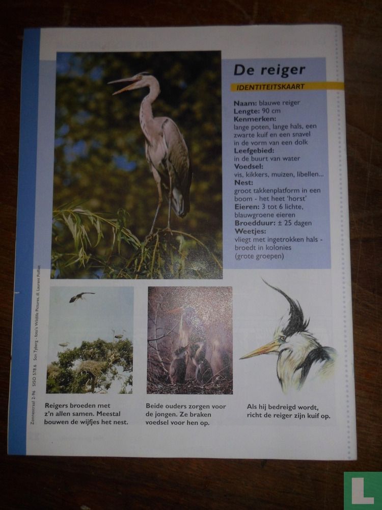 Zonnestraal 2