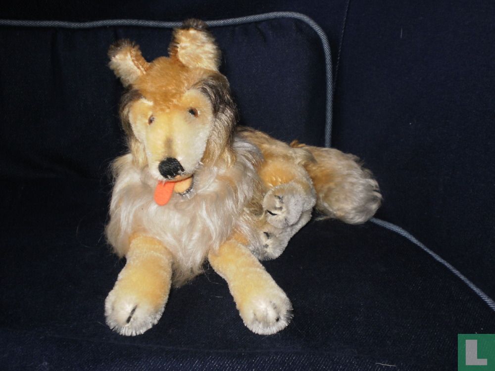 Collie