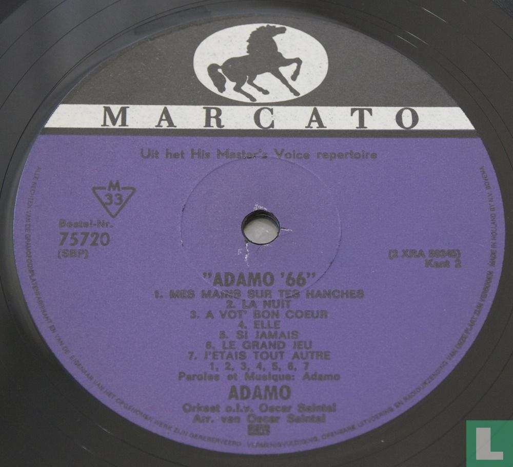 Adamo