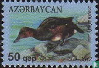 Canards