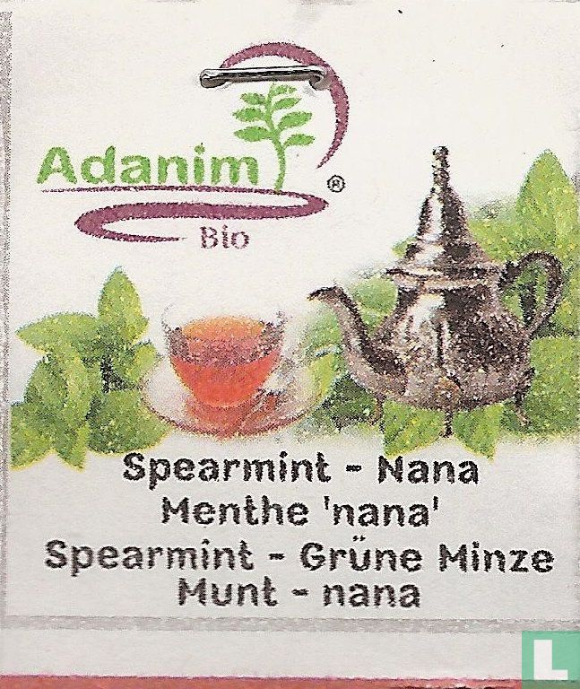 Spearmint - Nana 