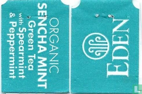 Sencha Ginger Mint