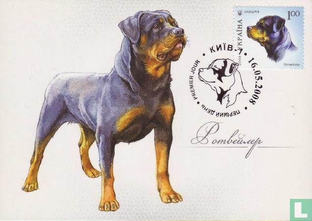 Hund