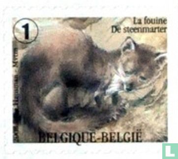 The Mustelids