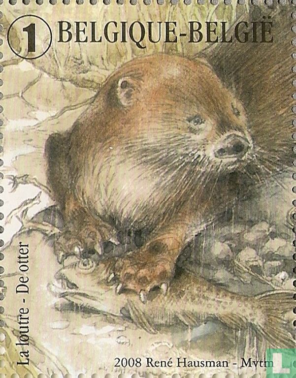 European otter
