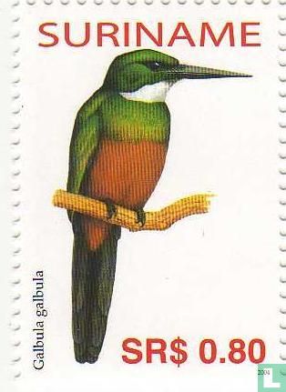 Groenstaartglansvogel