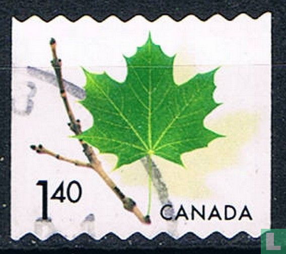 Feuille d'érable