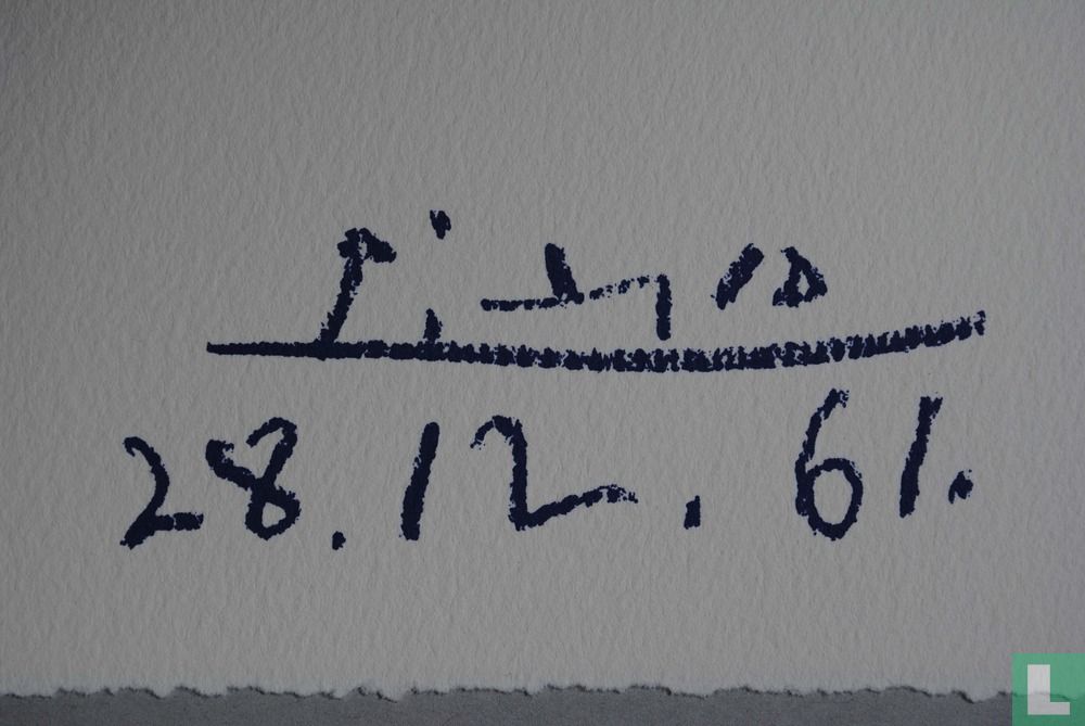 Blauwe duif – Colombe bleue