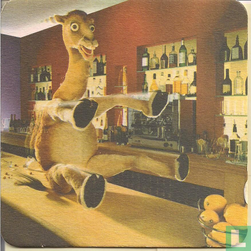 Camel