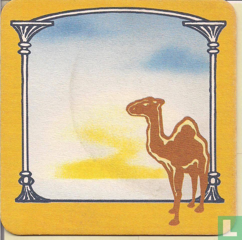 Camel