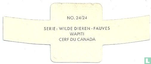 Wapiti