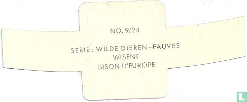 Wisent