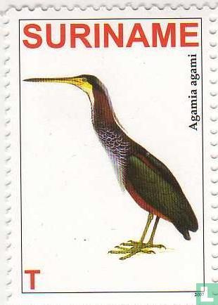 Agami Heron 