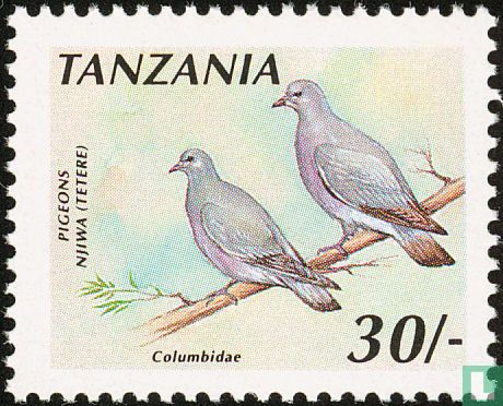 Pigeons