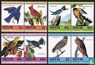 Oiseaux (I) 