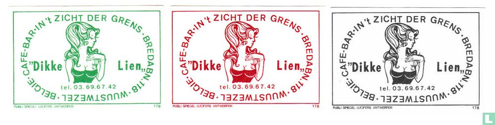 Cafe-bar "Dikke Lien"