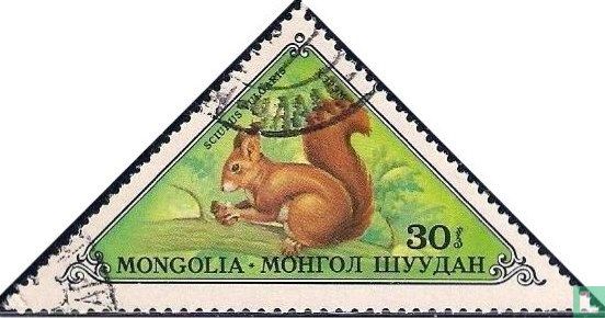 Animaux à fourrure