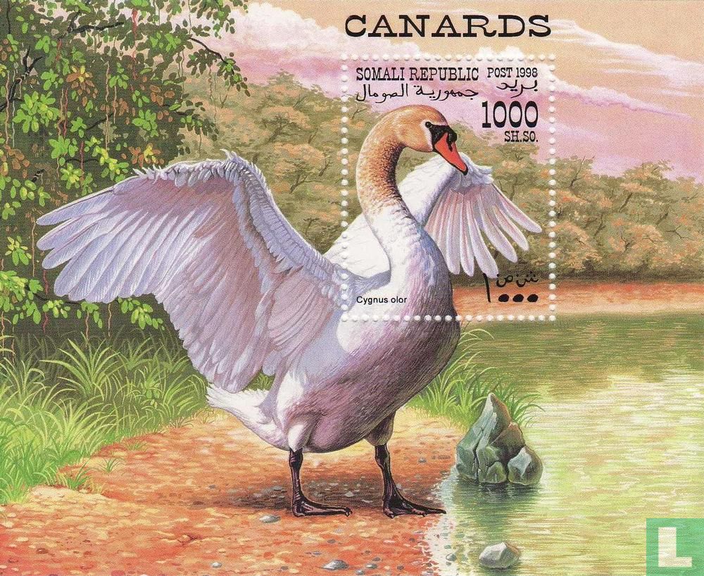 Oiseaux