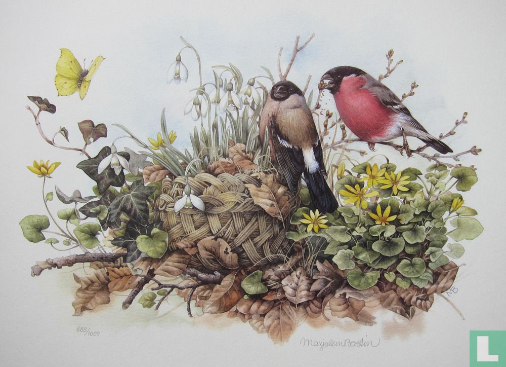 Marjolein Bastin - Goudvinken