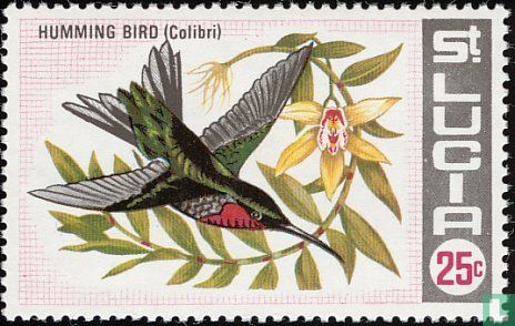 Oiseaux 