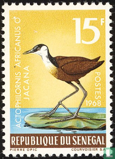 Oiseaux