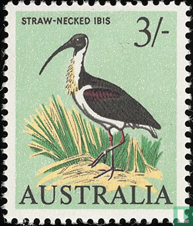 Oiseaux