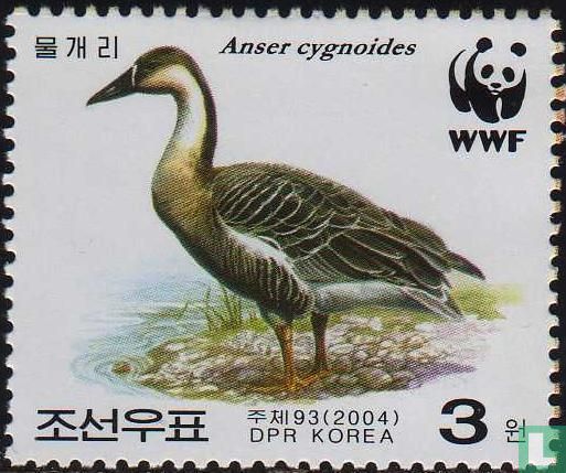 WWF - Schwanengans