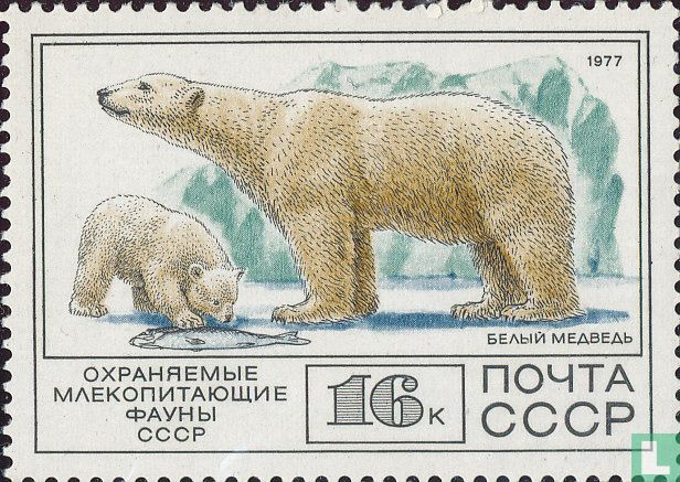 Fauna