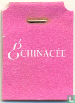Echinacea