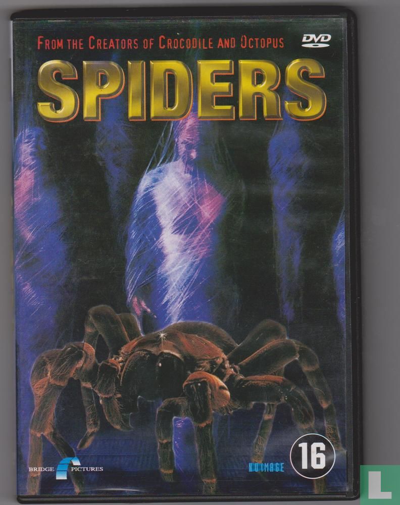 Spiders