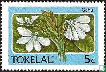 Flora