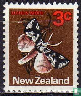Papillon
