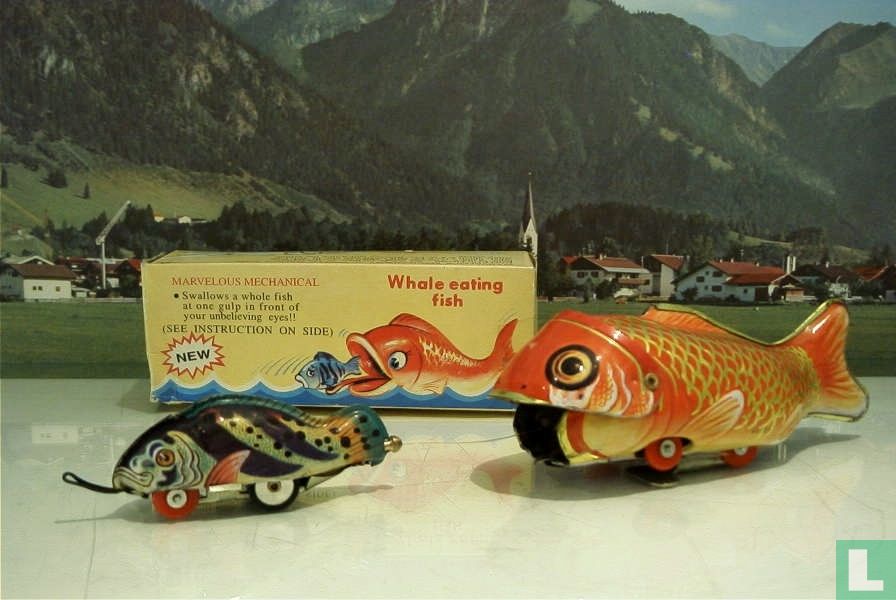 Whale eating fish