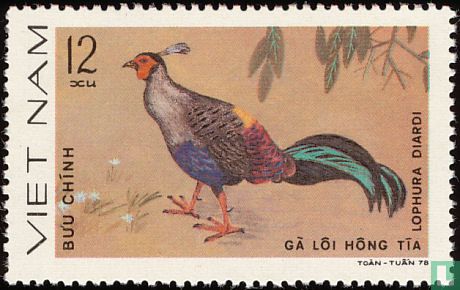 Oiseaux