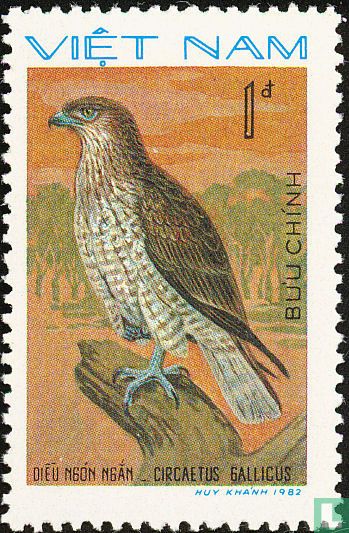 Roofvogels    