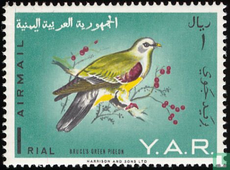 Vögel