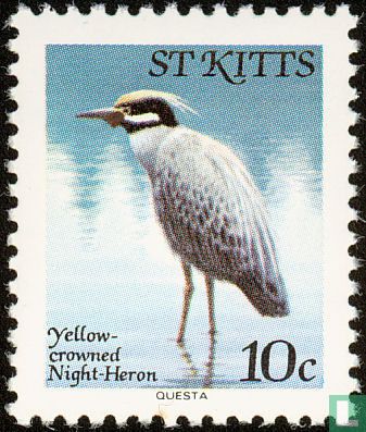Oiseaux     