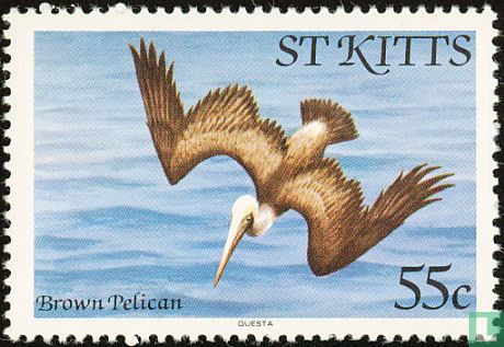 Oiseaux