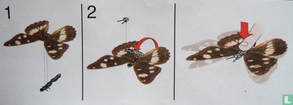 Urania Ripheus