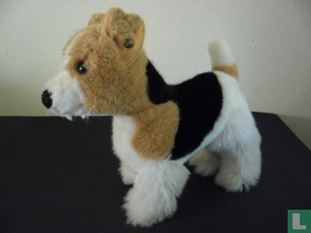 Jack Russel