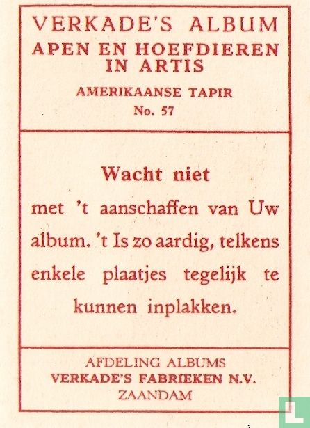 Amerikaanse Tapir