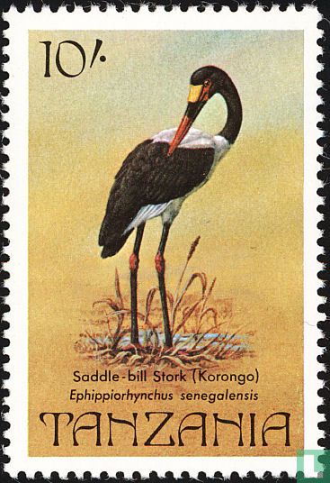Oiseaux  