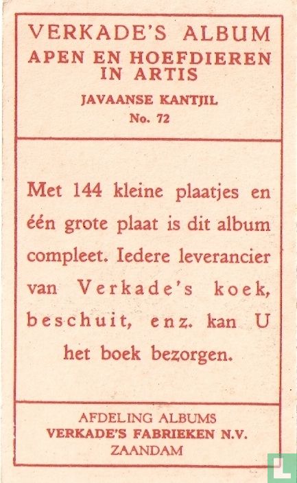 Javaanse Kantjil
