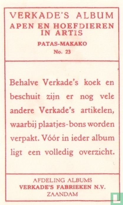 Patas-Makako