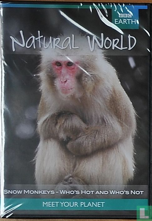 Snow Monkeys